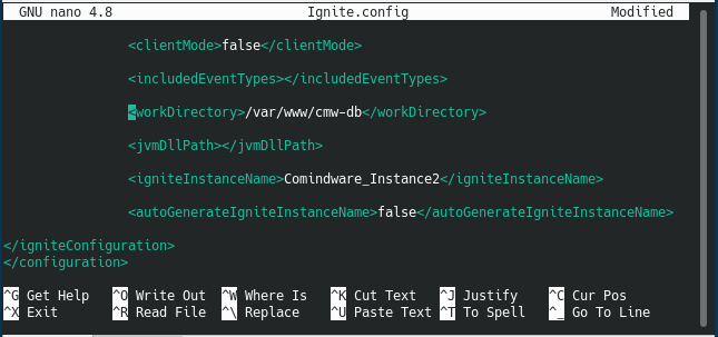 Путь к новой папке базы данных в файле конфигурации Apache Ignite