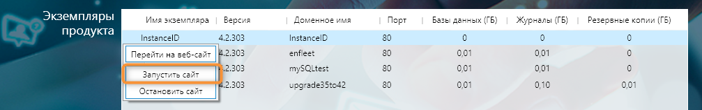 Запуск экземпляра ПО