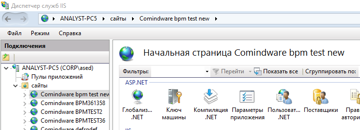 Веб-сайт созданного экземпляра системы в Диспетчере служб IIS
